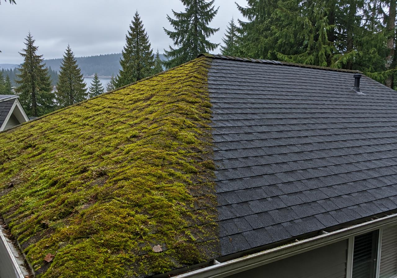 Residential roof half covered in moss and half cleaned, showing the difference roof cleaning makes